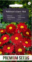 Pyrethrum Robinsons Giant Red Seeds